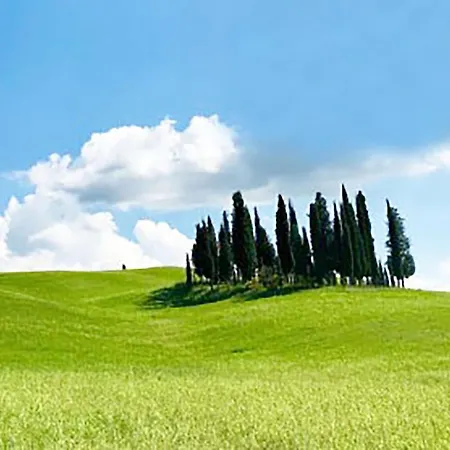 Apartment La Casa Nel Poggio 247 Vicino A Siena Ponte a Tressa